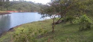 Foto 3 de Lote En El Peñol vereda la chapa