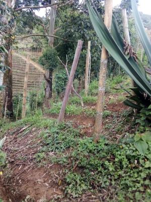 Foto 8 de Finca en Venta en la Vereda Chapa Baja, Barbosa