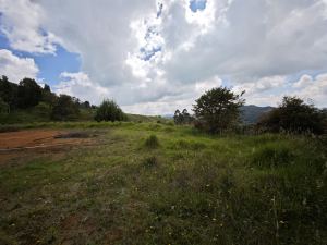 Foto 2 de Lote en San Pedro de los Milagros