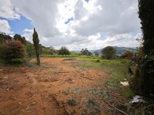Foto 4 de Lote en San Pedro de los Milagros