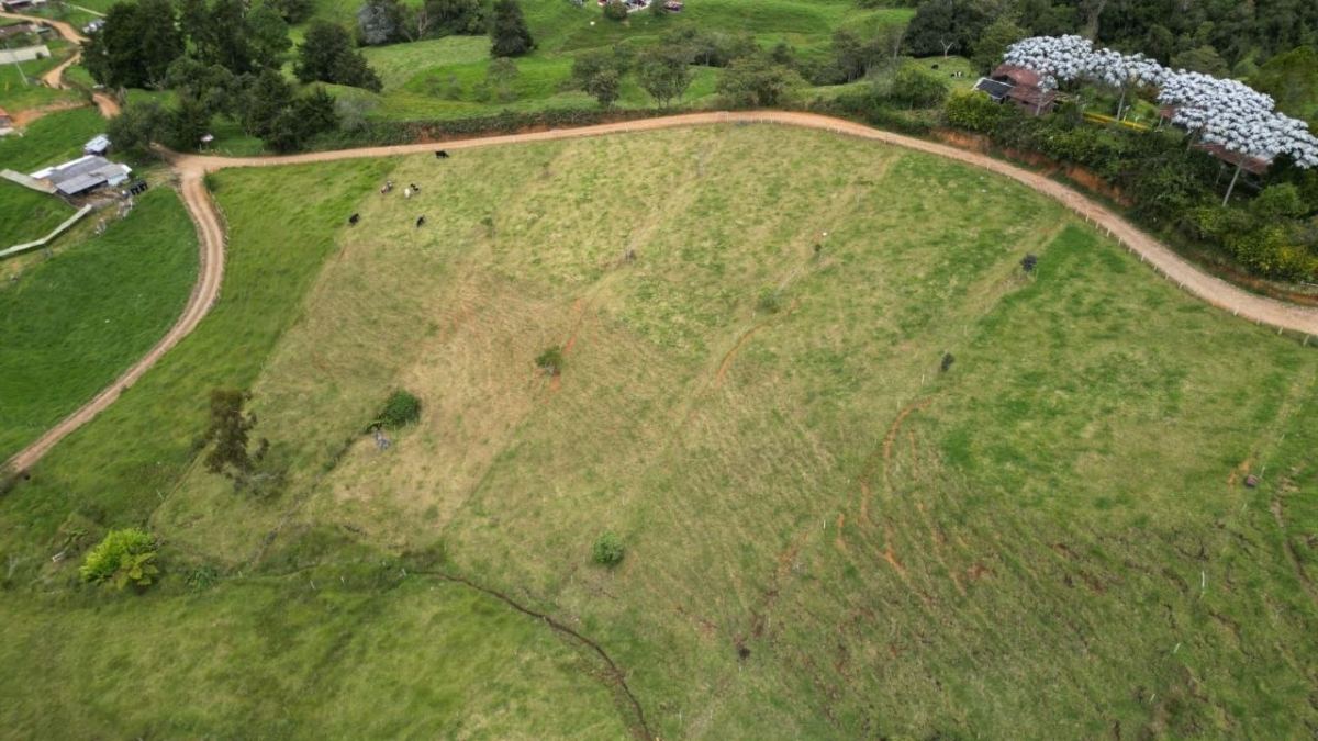 Lote en San Pedro de Los Milagros, Antioquia, Colombia