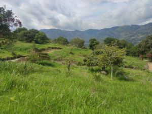 Foto 2 de Lote en Girardota vereda el totumo