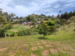 Foto 5 de Lote de 2.500 M² en Venta en Vereda la Clara, Guarne