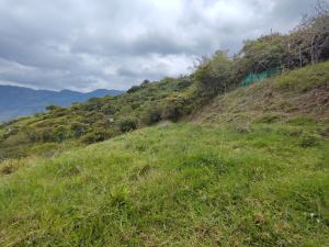 Foto 4 de Lote en Girardota Vereda Portachuelo