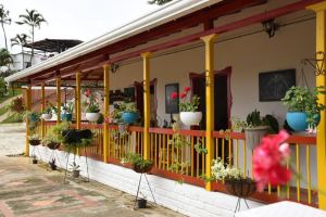 Foto 8 de Finca en Buenavista Quindío