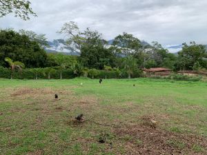 Foto 2 de Lote En Sopetran sector Los Molinos