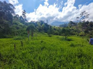 Foto 2 de Lote en Jardín Antioquia