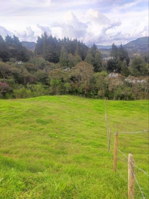 Foto 2 de Lote en Guarne Vereda San Isidro
