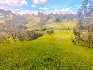 Foto 4 de lote en san pedro con nacimiento de agua