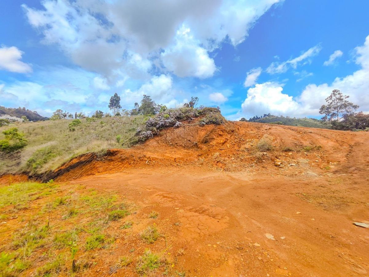 Finca en Sajonia, Rionegro, Antioquia, Colombia