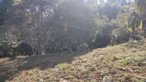 Foto 2 de Lote en Guarne Topografía Plana Tendida San Isidro