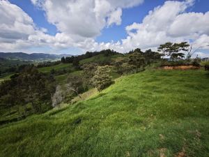 Foto 4 de Lote en San Pedro De Los Milagros