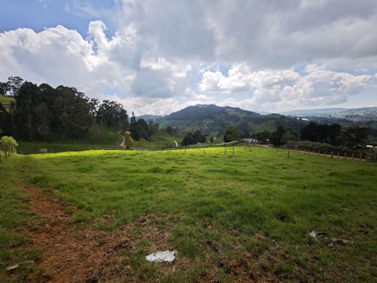 Lote en San Pedro, San Pedro de los Milagros, Antioquia