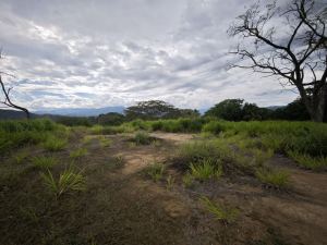 Foto 8 de Lote en Venta en Vereda el Rodeo, Sopetrán de 2700 M²