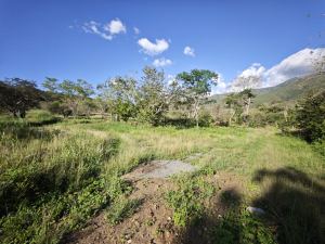 Foto 2 de Lotes en Sopetran Topografía Plana Vereda Tafetanes