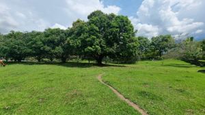 Foto 8 de Lote Plano en Venta en San Jerónimo
