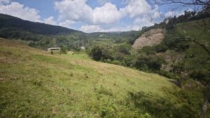 Foto 2 de Lote en San Rafael Vereda Jaguas