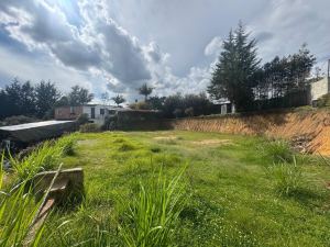 Foto 2 de Lote en rionegro vereda san luis
