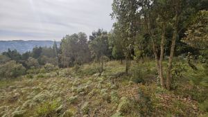 Foto 2 de Lote de 1.970 M² en Venta en la Vereda San Isidro, Guarne
