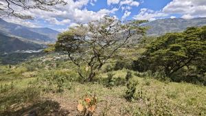 Foto 3 de Lote en Girardota Vereda el Limonar