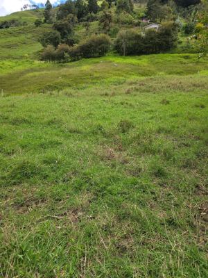 Foto 2 de Lote en Venta en Alto de Matasano, Barbosa de 6899 M²