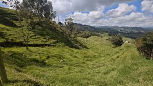 Foto 2 de Lote en Venta en Vereda Santa Barbara, San Pedro de los Milagros de 2730 M²