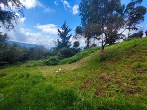 Foto 6 de Finca en Venta en la Miel, Caldas de 9900 M²