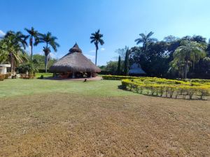 Foto 6 de Finca en Venta en Santa Fe de Antioquia de 12000 M²