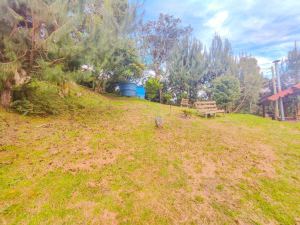 Foto 5 de Finca en Venta en San Pedro de los Milagros de 6400 M²