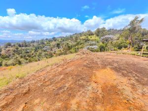 Foto 8 de Finca en Venta en Sajonia, Rionegro de 14300 M²