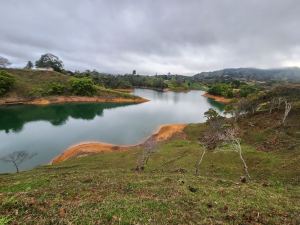 Foto 1 de Lotes en el Peñol Excelente Vista