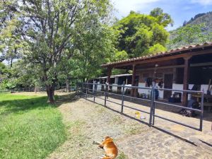 Foto 2 de Lote en Venta en Zarzal, Copacabana de 6041 M²