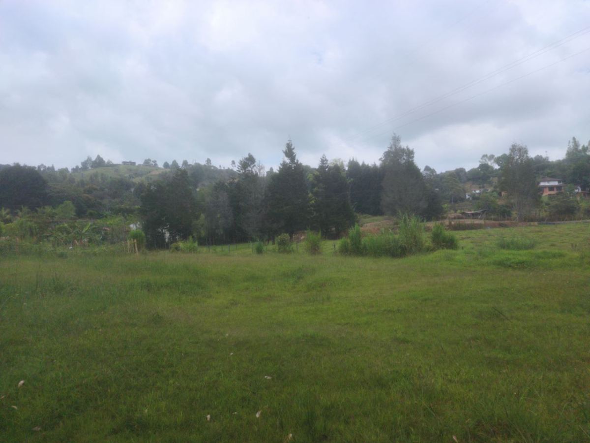 Lote en Vereda San José, Guarne, Antioquia