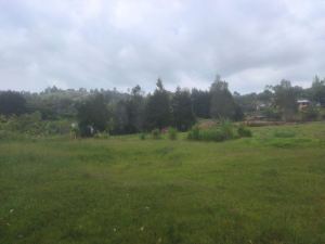 Foto 1 de Lote en Guarne Vereda San José