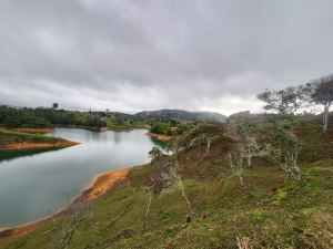 Foto 3 de Lotes en el Peñol Excelente Vista
