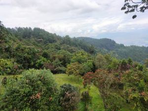 Foto 5 de Finca en Venta en la Catedral, Envigado de 26000 M²