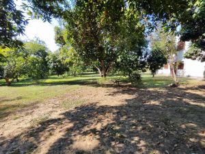 Foto 5 de Finca en Venta en Santa Fe de Antioquia de 12000 M²