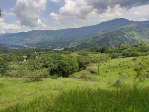 Foto 4 de Lote Copacabana Vereda el Noral Hermosa Vista