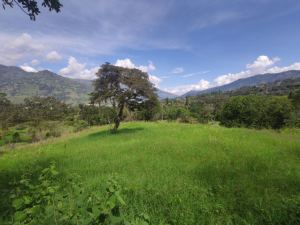 Foto 3 de Lote en Girardota vereda el totumo