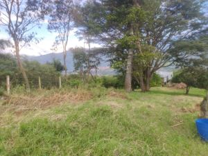 Foto 4 de Lote en Girardota Excelente Ubicación Hermosa Vista