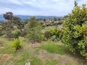 Foto 6 de Lote de 2.500 M² en Venta en Vereda la Clara, Guarne