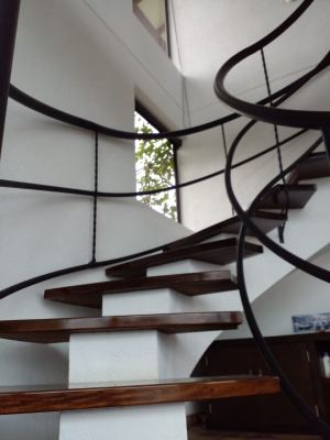 Foto 5 de Finca en Venta en Vereda la Clara, Guarne de 5792 M²