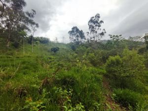 Foto 3 de Lote en Girardota Vereda Portachuelo