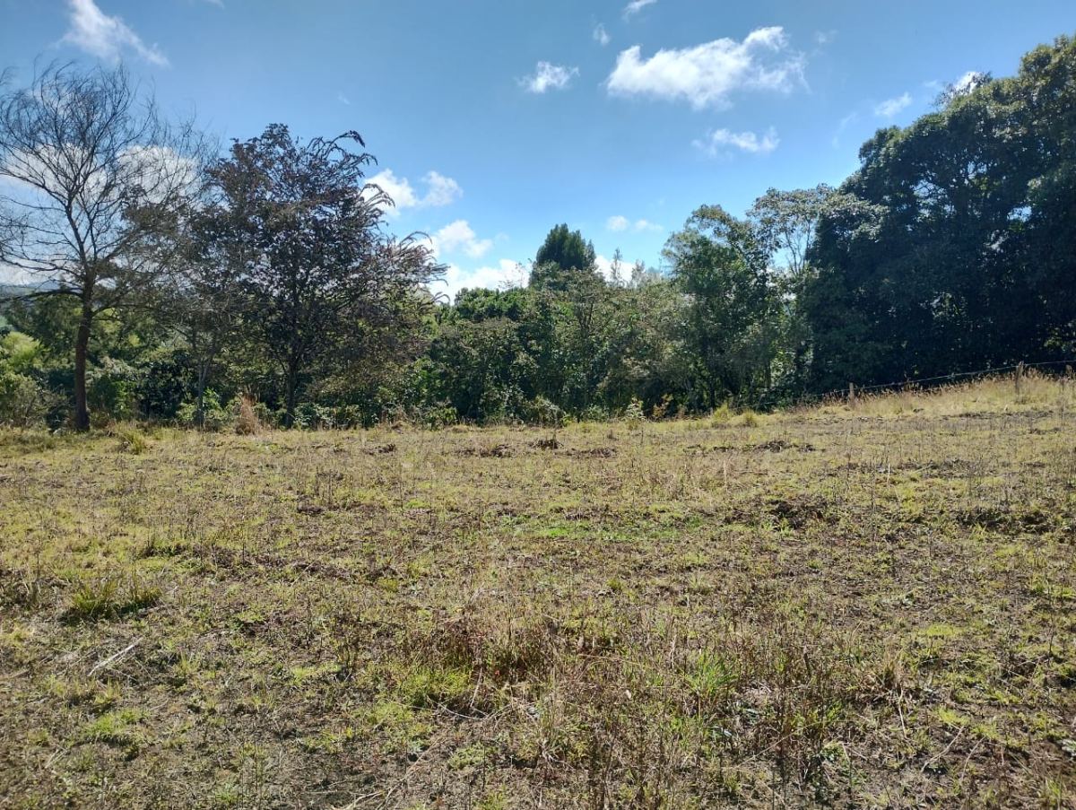 Lote en San Pedro de los Milagros, Antioquia