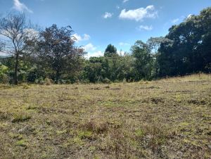 Foto 1 de Lote En San Pedro De Los Milagros Vereda Cerezales