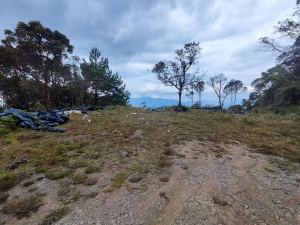 Foto 3 de Lote en Caldas Sector la Miel