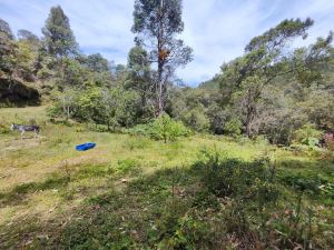 Foto 3 de Lote en el Retiro Para Parcelar a 1 Minuto de la vía Principal