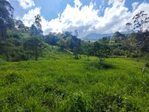 Foto 3 de Lote en Jardín Antioquia