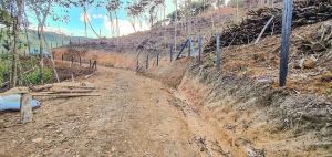 Foto 3 de Lote en Cocorná Cerca a Charcos
