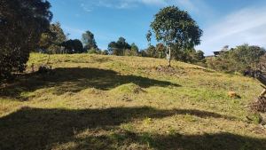Foto 3 de Lote en Guarne Topografía Plana Tendida San Isidro